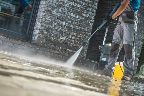 Best Animal Enclosure Cleaning  in Lake Butler, FL